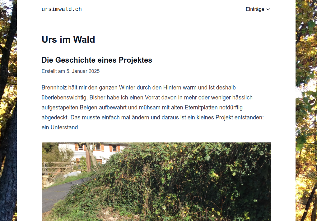 Cover Image for ursimwald.ch